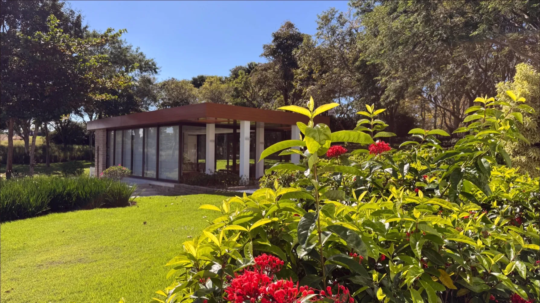 galeria
